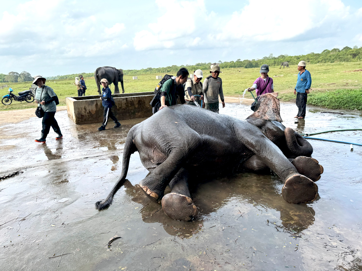 1班 Way Kambas国立公園 2