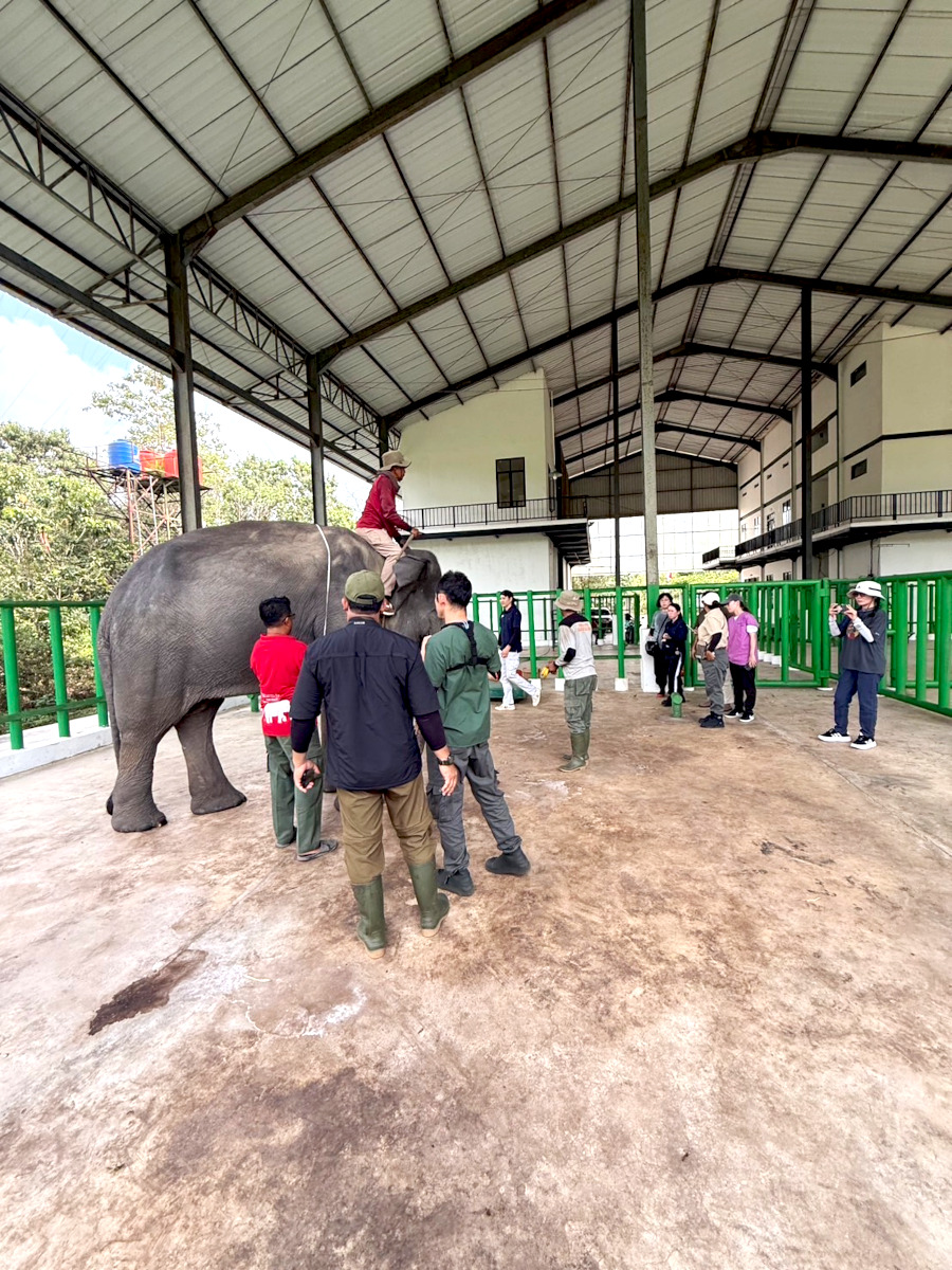 1班 Way Kambas国立公園 4