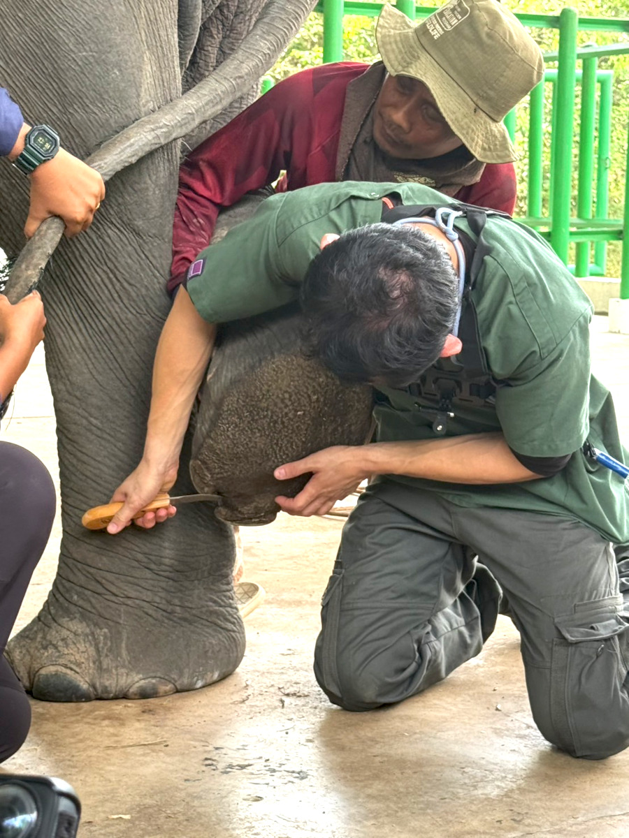 1班 Way Kambas国立公園 5