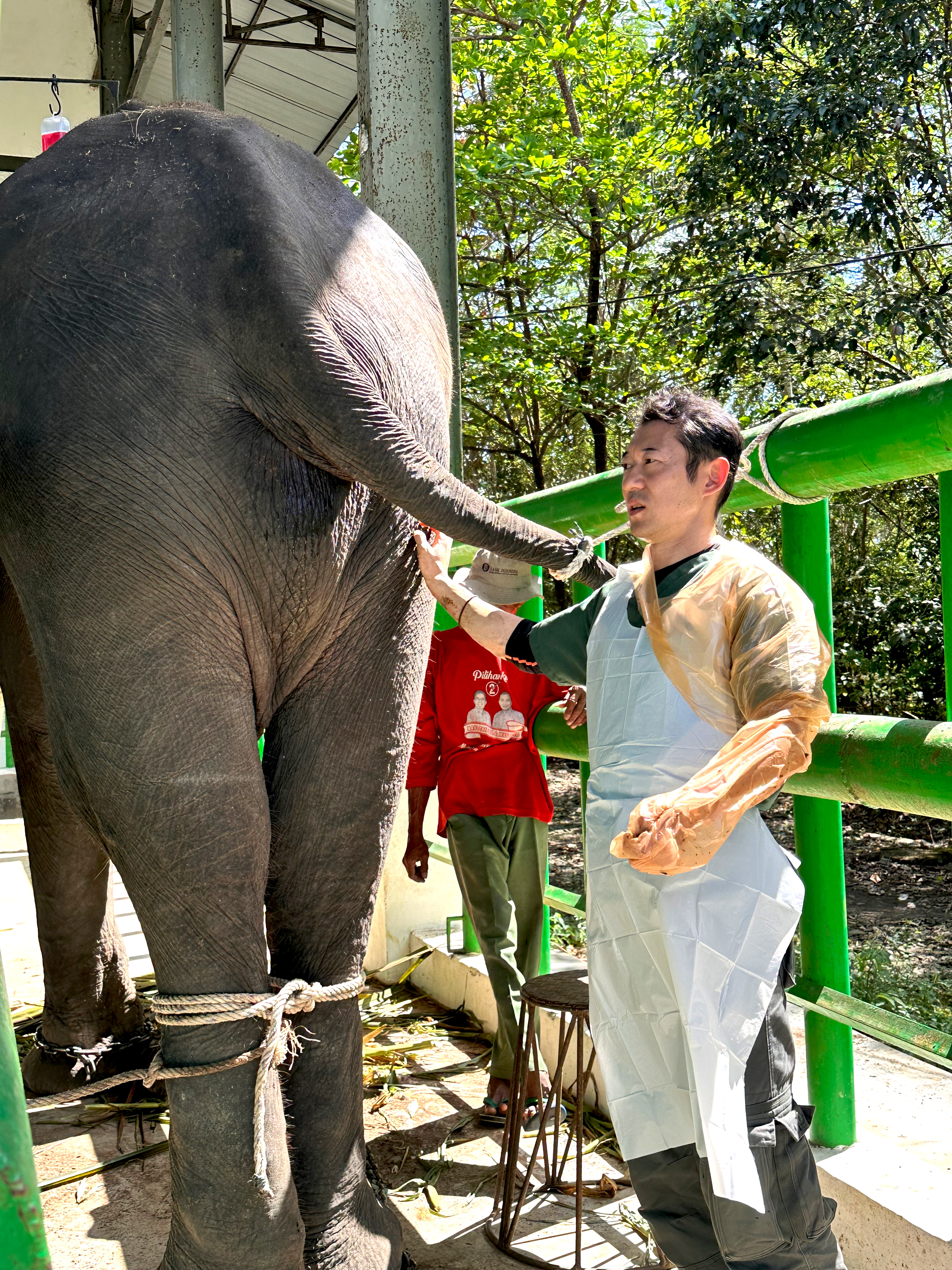 1班 Way Kambas国立公園 6