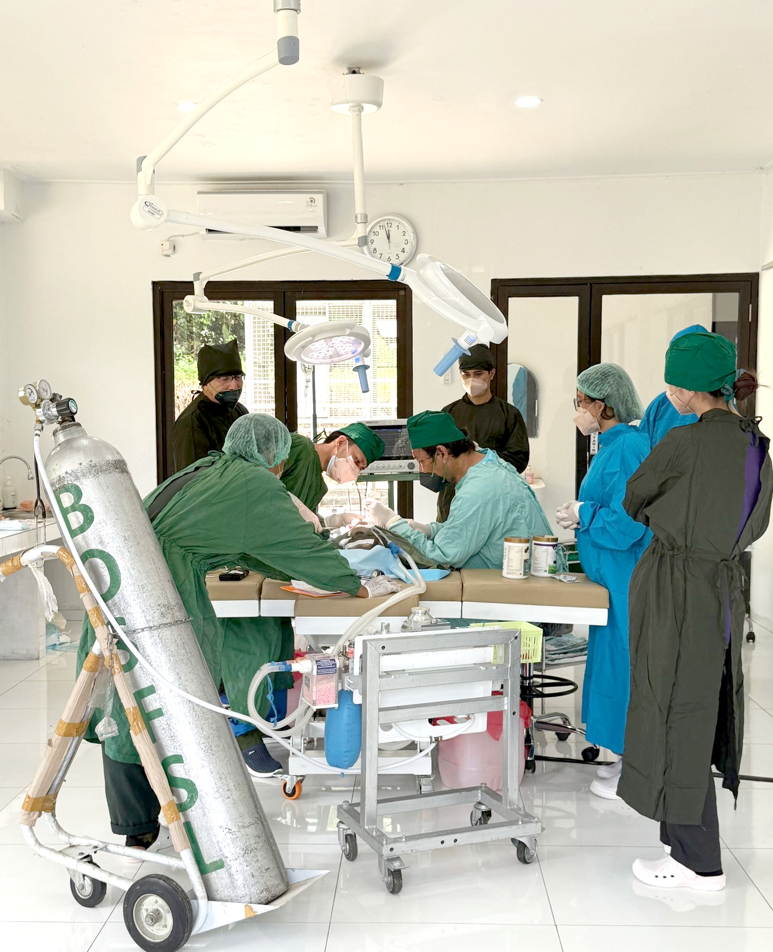 2班 Samboja Lestari国立公園 4