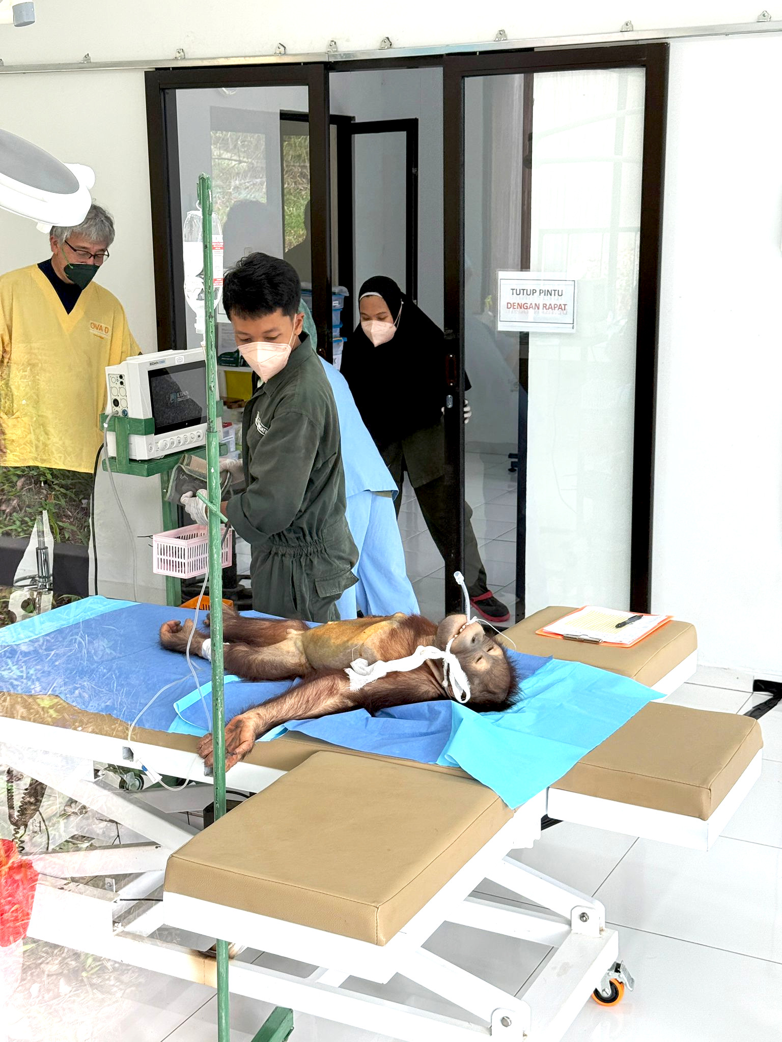 2班 Samboja Lestari国立公園 6