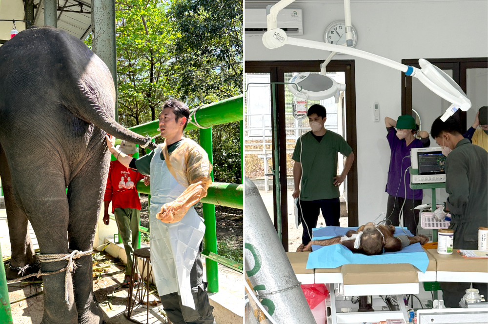 2025年活動報告（1班・2班）